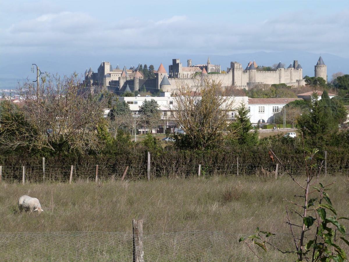 Gites de Lisa Carcassonne Extérieur photo